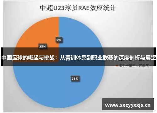 中国足球的崛起与挑战：从青训体系到职业联赛的深度剖析与展望