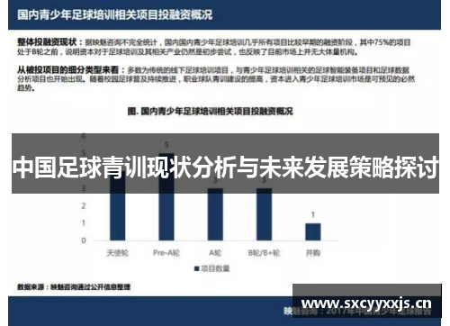 中国足球青训现状分析与未来发展策略探讨