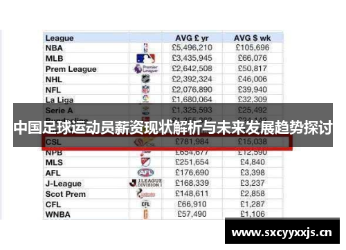 中国足球运动员薪资现状解析与未来发展趋势探讨