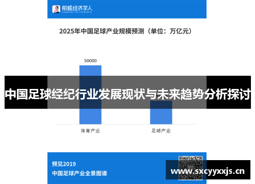 中国足球经纪行业发展现状与未来趋势分析探讨