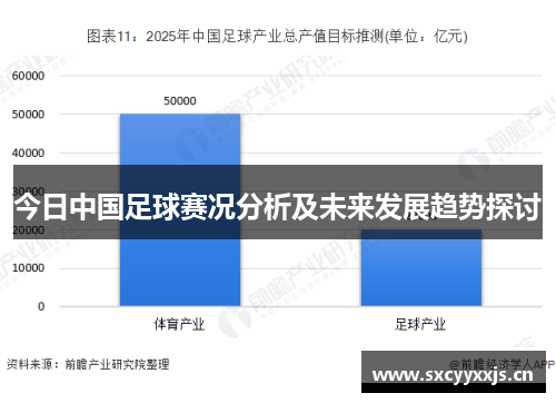 今日中国足球赛况分析及未来发展趋势探讨