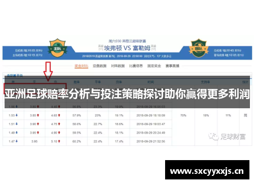 亚洲足球赔率分析与投注策略探讨助你赢得更多利润